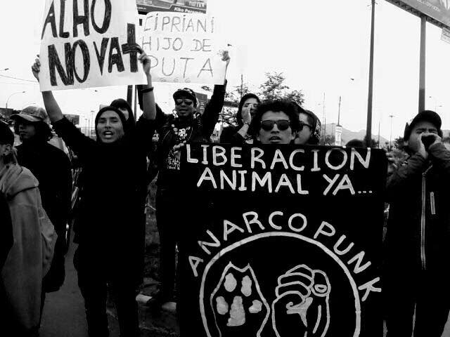 Entrevista | Banda Conflicto e Organização Anarcopunk de Lima/Peru